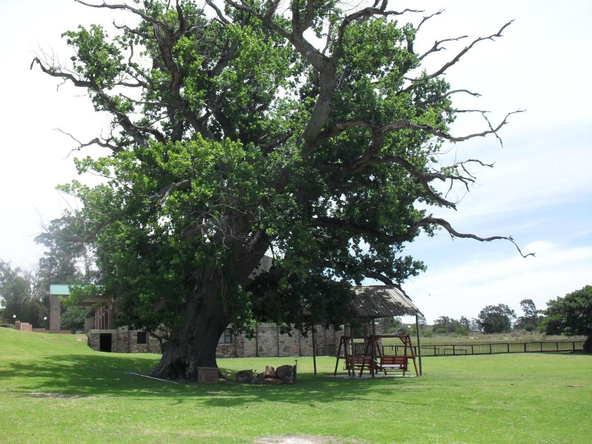 Soloko Game Farm Βίλα Kareedouw Εξωτερικό φωτογραφία